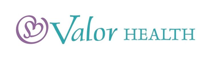 Valor Health  Login Business Client